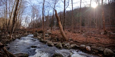 The sun pokes through the trees as the Beacon Hill Brook roars through the Three Sister Preserve in Bethany after a rainstorm. The Bethany Land Trust and Connecticut Water Company ensured 20 acres of land along Route 63 will remain protected open space in perpetuity available for the public to enjoy.