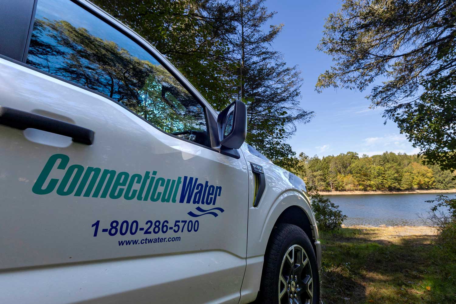 Connecticut Water employee volunteers plant trees along a reservoir in Naugatuck.